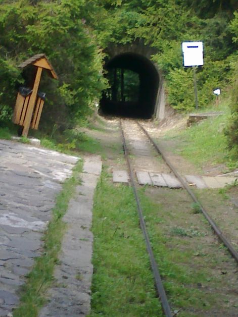 kep_298.jpg