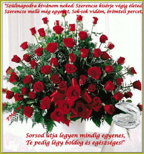 www.tvn.hu_6e5f75512e8121f7f77890935af13fdb.gif