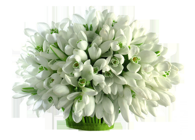 www.tvn.hu_9b7f97a6c41e6aab485565fa63bf9364.png